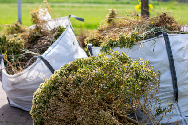 Best Hoarding Cleanup  in Macarthur, WV